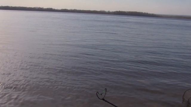 Фидер на водоемах Самарской области часть 9. р. Волга, г. Самара, пляж "НФС" смотреть онлайн