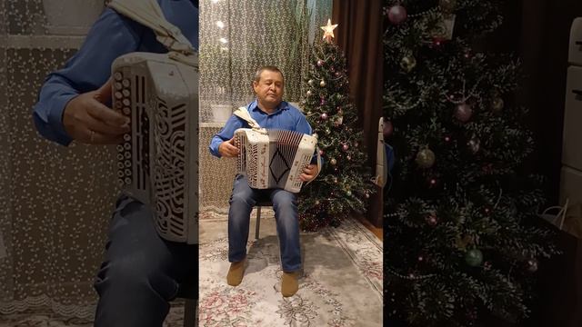 Гармонь-"Полынь трава". Вашлаев Владимир. смотреть онлайн