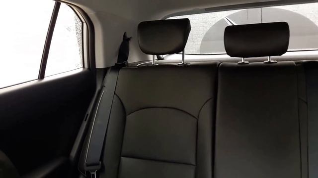 Автошкола Профессия