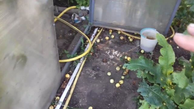 Система полива грядок на огороде смотреть онлайн