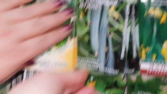 КАКИЕ ОГУРЦЫ ПОСАДИТЬ? ОБЗОР СЕМЯН ОГУРЦОВ от КОНСУЛЬТАНА! ТопСад смотреть онлайн