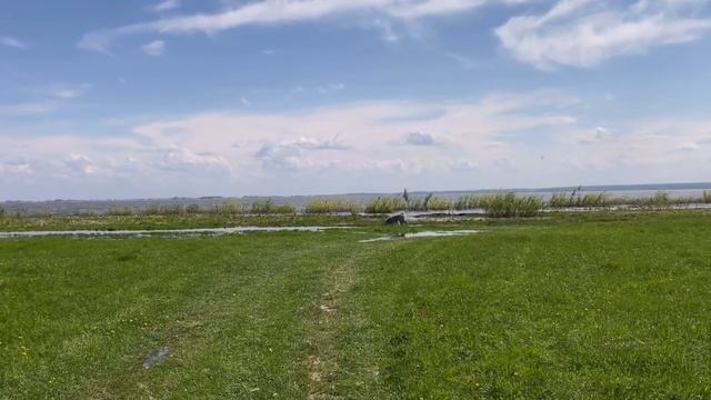 Поездка к чайкам смотреть онлайн