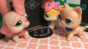 LPS СОСЕДИ ? ИЛИ смешные СЛУЧАИ с СОСЕДЯМИ. Часть #1 (Littlest pet shop)