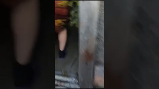 10 октября 2023 г. смотреть онлайн