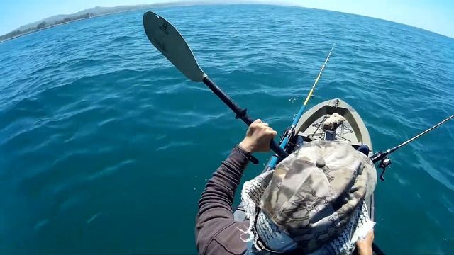Fishing at Dana Point on kayak 2016 смотреть онлайн
