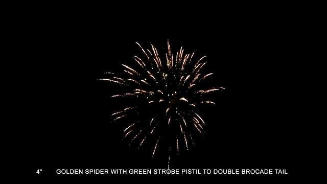 4" GOLDEN SPIDER WITH GREEN STROBE PISTIL TO DOUBLE BROCADE TAIL смотреть онлайн