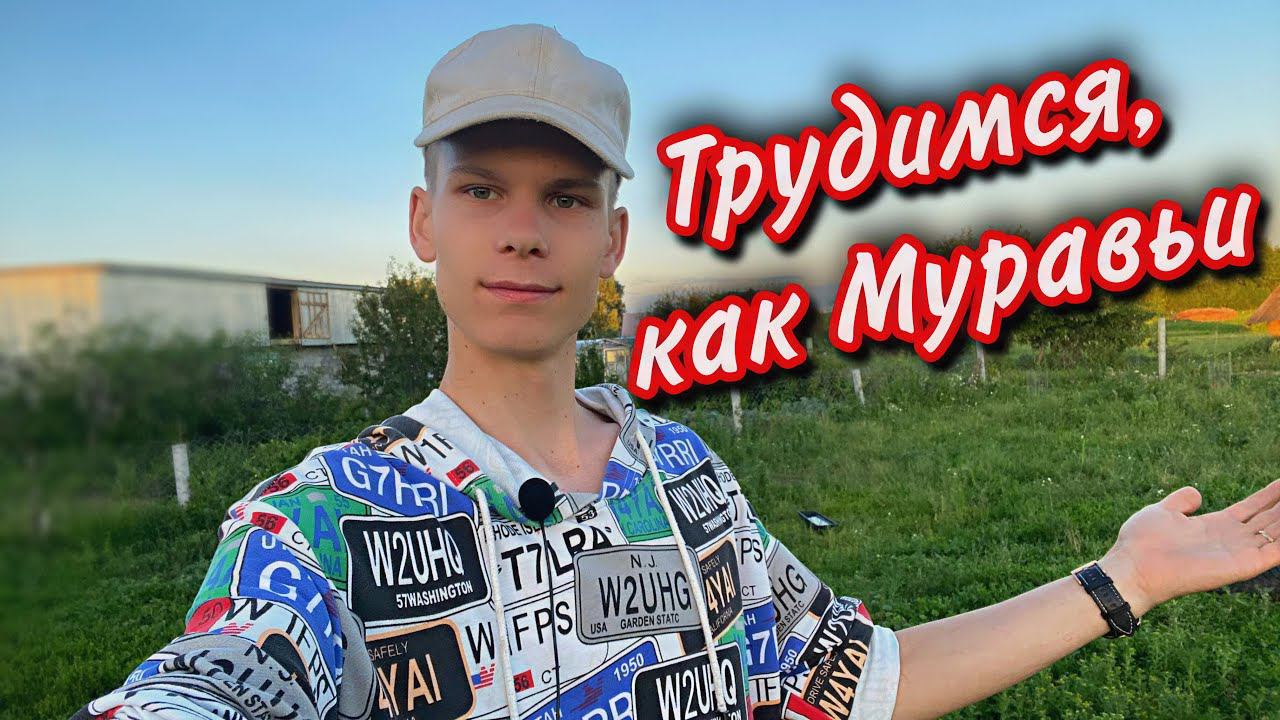 Вечерний обход хозяйства / День Варенья !!! Как избавиться от Жуков на картофеле/Гуси, утки, цыплята