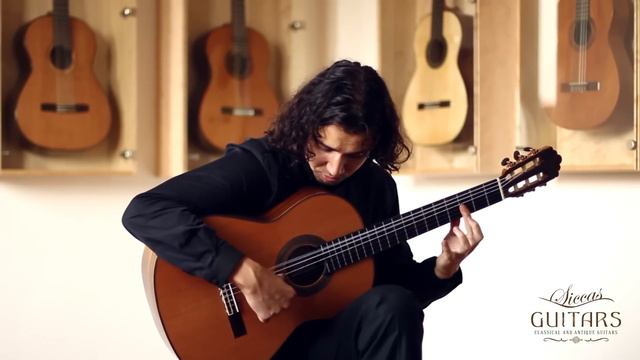 David Dyakov plays Hora by Stepan Rak on a Altamira N500 смотреть онлайн