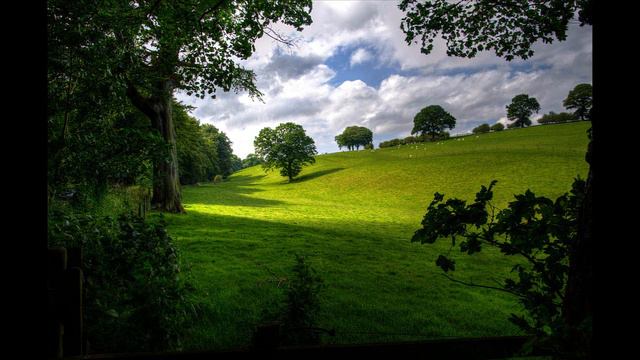 Canon-in-d-Pachelbels-Canon-Cello-Piano смотреть онлайн
