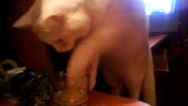 Тимофей пьет кукурузный сок