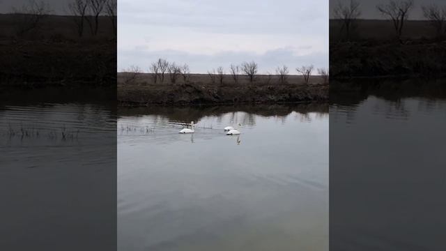 24 марта 2021 г. смотреть онлайн