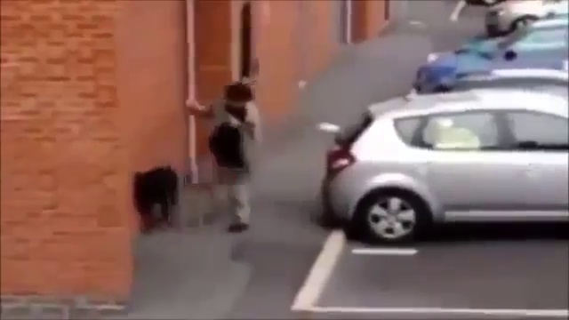 Собака выгуливает алкаша смотреть онлайн