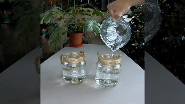 Reproducción en agua de hiedra pata de pollo Hedera Helix смотреть онлайн