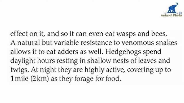 European Hedgehog (Erinaceus europaeus) | Animals of Europe| European Animals смотреть онлайн