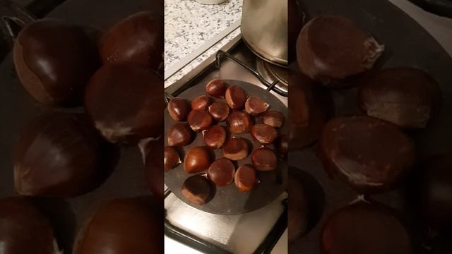 Жареный каштан