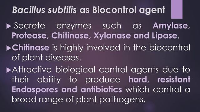 Biocontrol agent - Bacillus subtilis смотреть онлайн