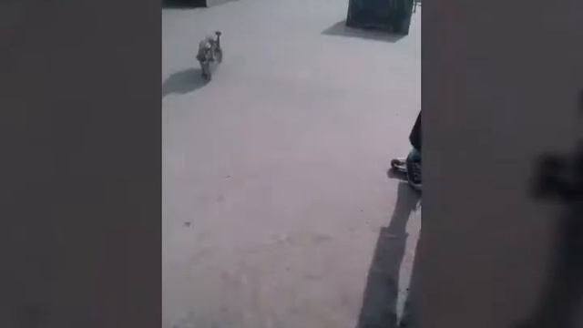 КРУТЫЕ ТРЮКИ НА САМОКАТЕ!!!.... смотреть онлайн