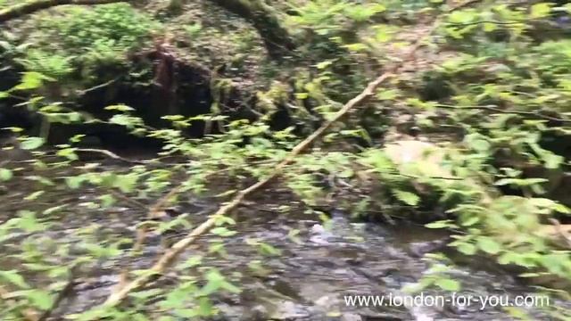 Выпуск 770 Водопад святого Нектана смотреть онлайн