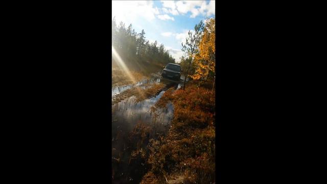Болото смотреть онлайн