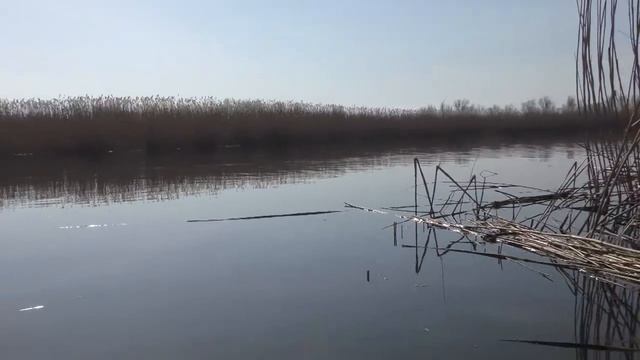 ЗАПРЕТ ! МОСТИК- РЫБЕЦ .ЛЕЩ.ПЛОТВА в 4 к смотреть онлайн