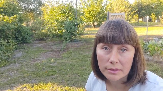 ОЖИНА ОСІННЯ ОБРІЗКА смотреть онлайн