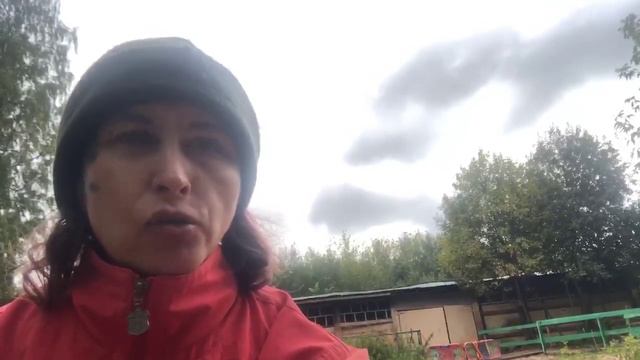 Чем и за что угощать лошадь смотреть онлайн