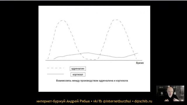 Предпринимательство и бизнес | Про стресс и страхи предпринимателя | Андрей Рябых смотреть онлайн