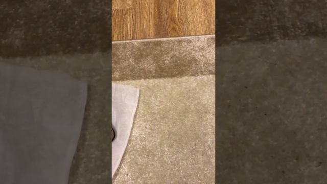 Сумка с Aliexpress смотреть онлайн