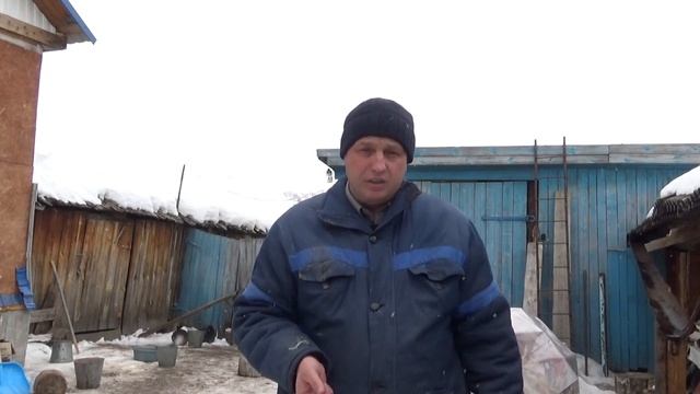 Корма для животных, отруби. смотреть онлайн