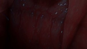 I Nom You ?? ~ Lady Gluttony ~ Skyrim (Giantess Vore POV)