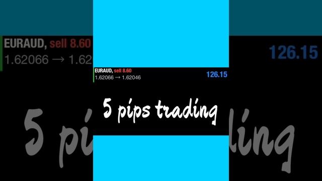 5 pips Trading смотреть онлайн