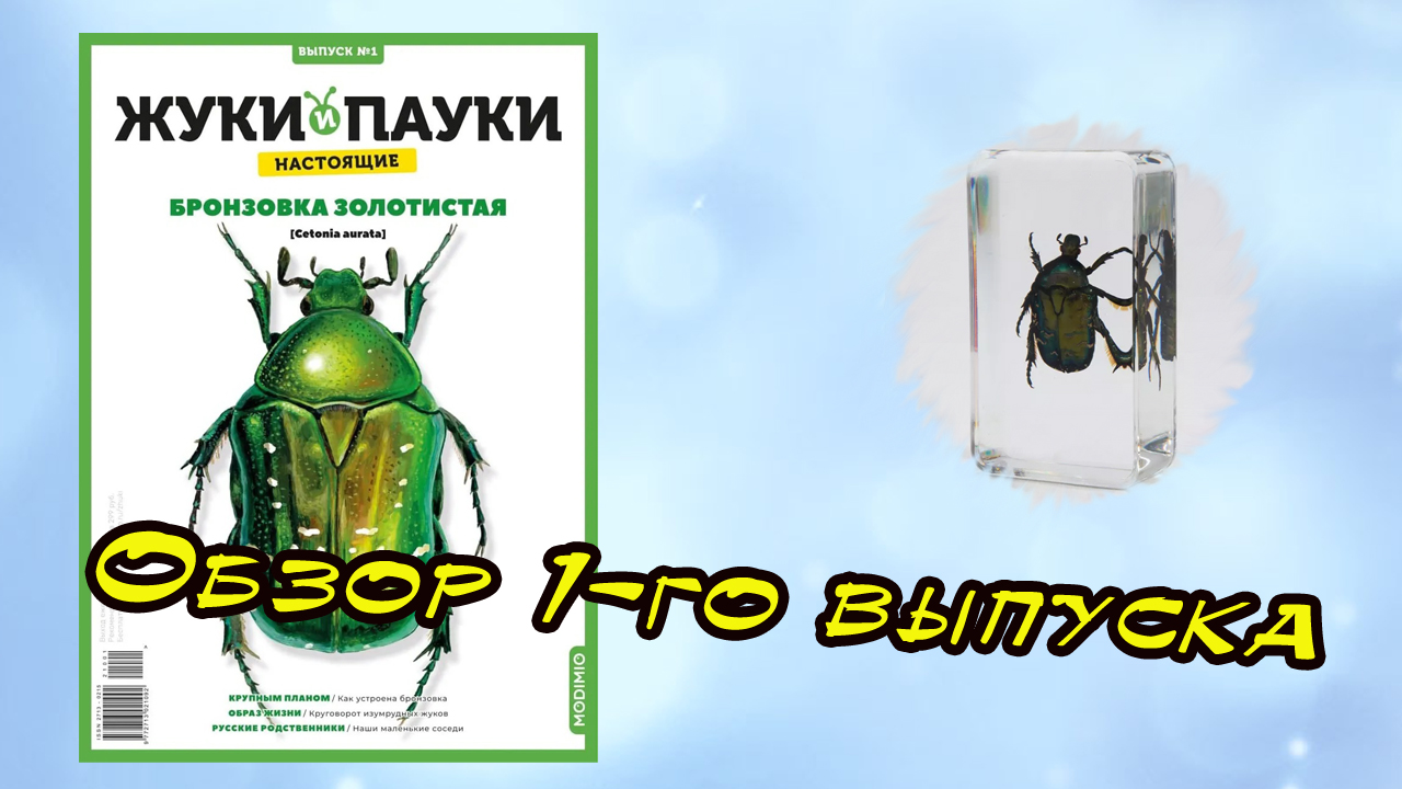 Жуки и пауки | 1 выпуск | MODIMIO смотреть онлайн