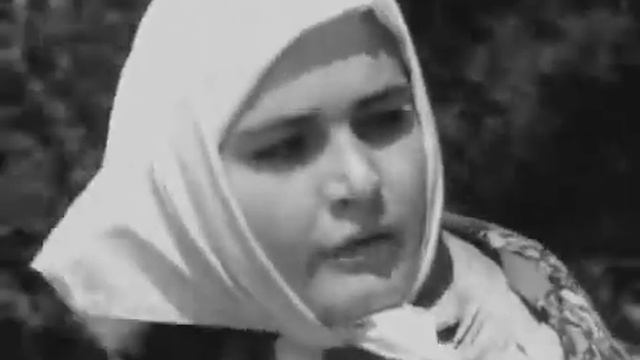 Донская повесть. 1964 смотреть онлайн