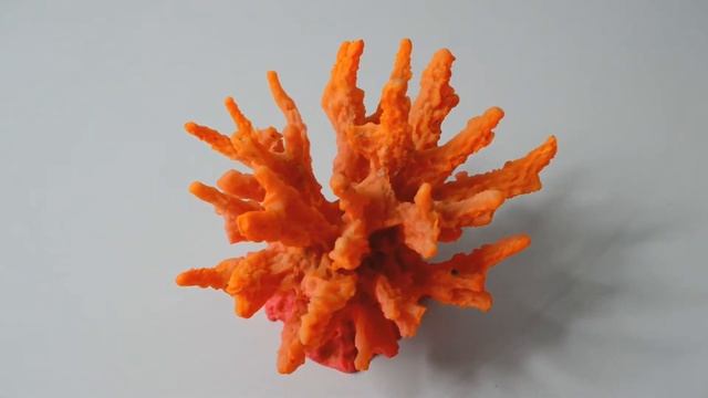 Дизайн для аквариума коралл К-002/6 от Marvelous Aqva смотреть онлайн