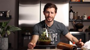 Desk TERRARIUM insane growth after only 4 months!