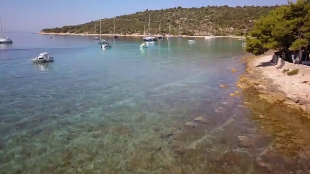 DR WU' AND FRIENDS - Mistletoe Height-Mare nostrum Adriaticum смотреть онлайн