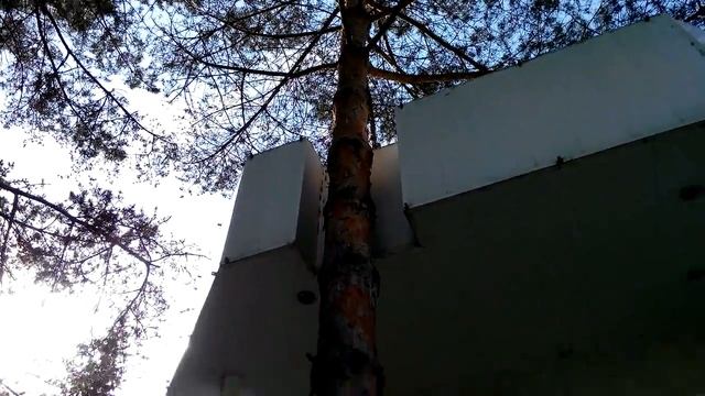 дерево, (wood), озеленение смотреть онлайн