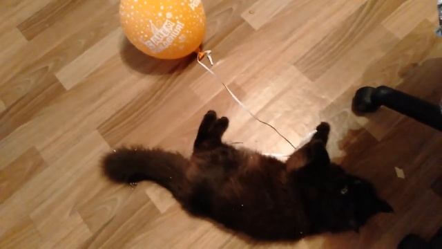 Шарик против кота \\ Иззи и шарик \\ Воздушный шарик и кот смотреть онлайн