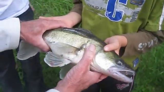 snoekbaar uit singel in Utrecht смотреть онлайн