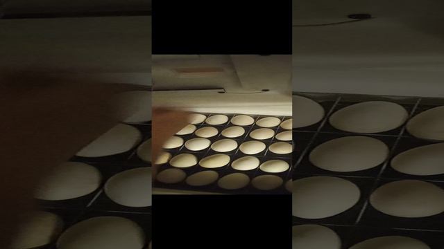 2 неделя инкубации гусиных яиц