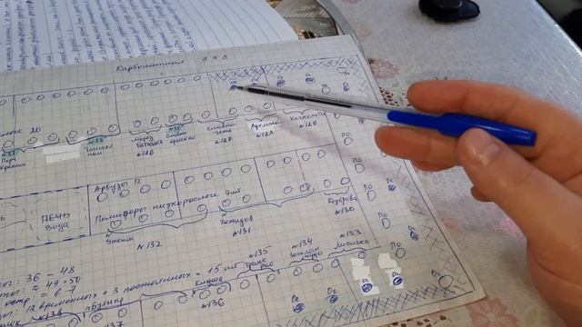 Схемы уплотнённых посадок. Как разместить сто сорок сортов томатов на участке меньше 2х соток. смотреть онлайн