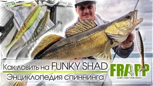 Как поймать пассивную рыбу_Универсальная уловистая приманка! ЭНЦИКЛОПЕДИЯ СПИННИНГА.FRAPP FUNKY