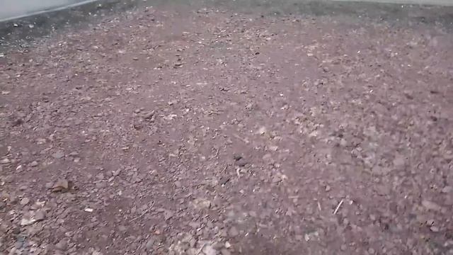 Кривой Рог Железная руда под ногами смотреть онлайн
