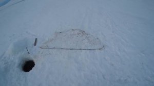 Снасть экран (косынка).  Самая простая и дешевая снасть , собранная на коленке))) Рыбалка на экран.