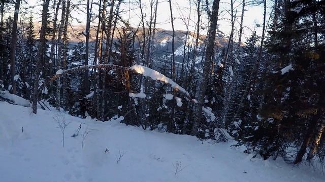 Охота на глухаря зимой. смотреть онлайн