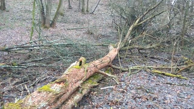 Груша на дрова часть I смотреть онлайн