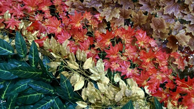 Rekomendasi Kamera DSLR 4 Jutaan & 5 Jutaan смотреть онлайн