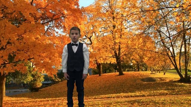 Стихотворение Сергея Есенина "В ожидании зимы" в исполнении ученика 1А класса Кланга Фёдора смотреть онлайн