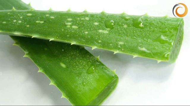 Бұл Гүлді Үйінде Өсіретіндер Пайдасын Біле бермейді, Алоэ пайдасы, ОТБАСЫЛЫҚ ДӘРІГЕР смотреть онлайн