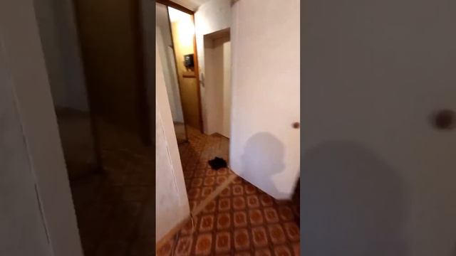 Видео для Авито t.me/arenda_ufa смотреть онлайн